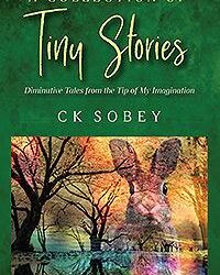 Diminutive Tales from the Tip of My Imagination