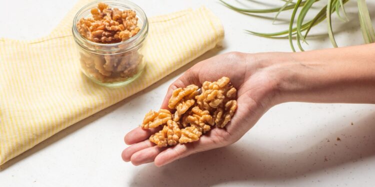 New Research Shows Potential Benefits of Swapping Some Meat Intake with Walnuts