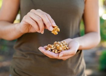 Walnuts Among Omega-3 Foods Linked to Brain Development Benefits in Children and Adolescents