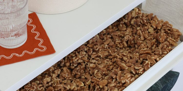 Young Adults Consuming Walnuts Reported Improved Sleep Quality, New Study Finds – Press Releases Distribution for Market Research Reports