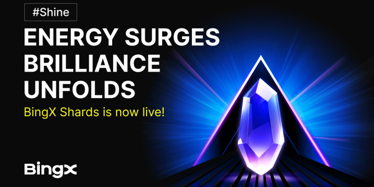BingX Shards – A New Rewards Ecosystem for Enhanced User Engagement