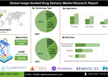 Image Guided Drug Delivery Market Regional Analysis Covering North America Europe and Asia Pacific