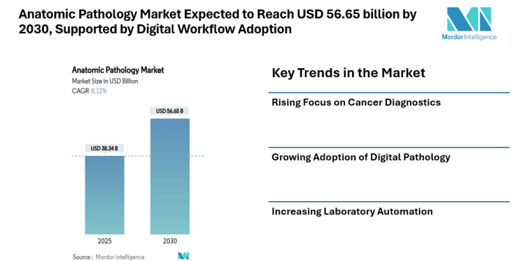 Anatomic Pathology Market Expected to Reach USD 56.65 billion by 2030, Supported by Rising Diagnostic Demand and Digital Workflow Adoption
